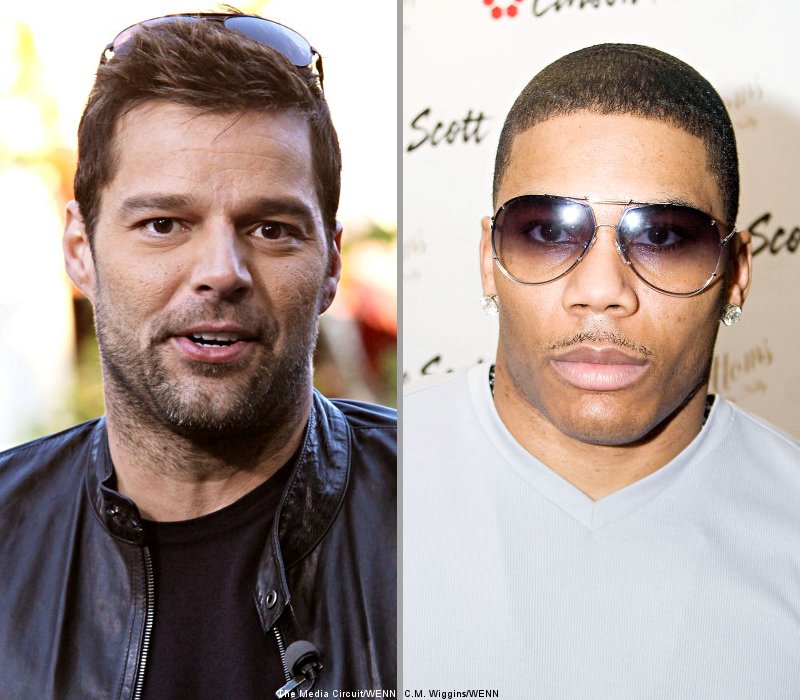 Ricky Martin and Nelly Among Adoption Supporters