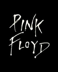 David Gilmour's Son Charged for Attacking Royal Car