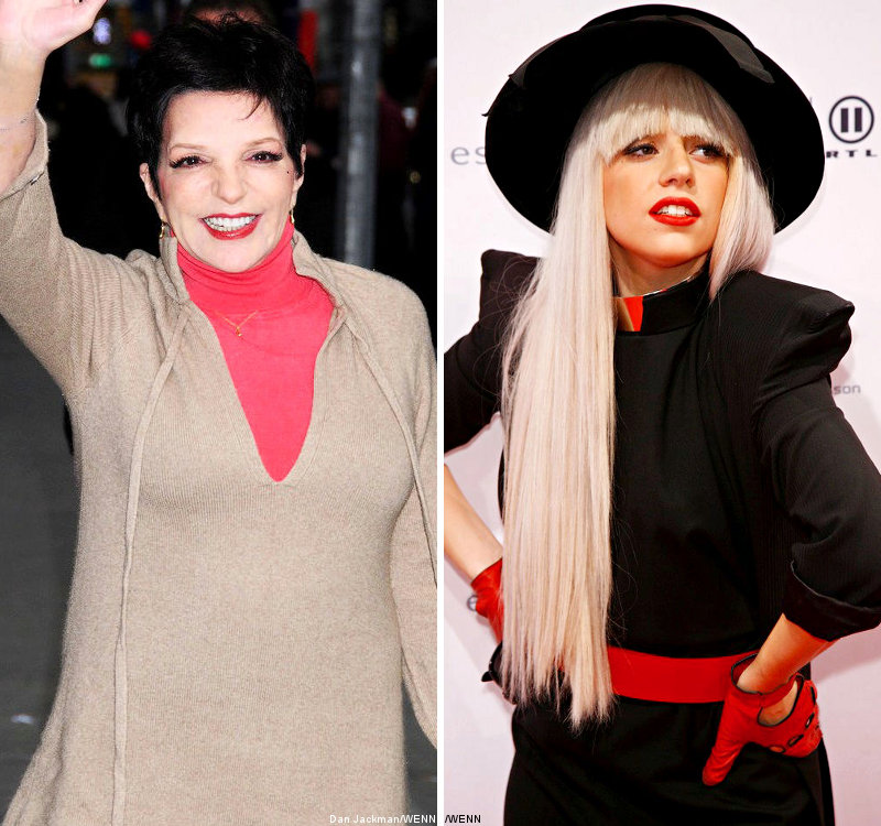Liza Minnelli Hopes to Work With Lady GaGa