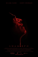 More About Anamorph