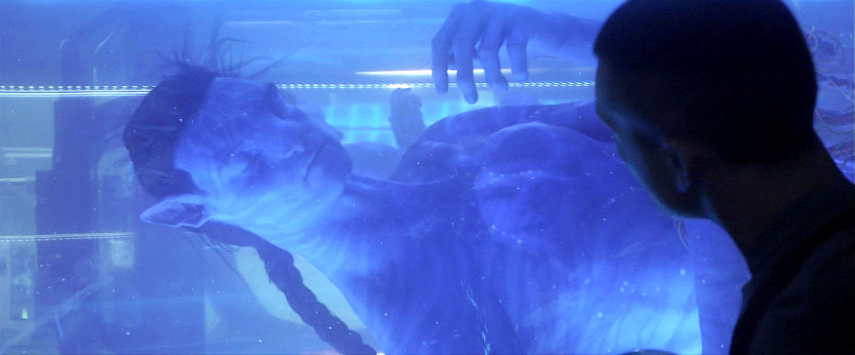 James Cameron Believes His 'Avatar' Will Lose at 2010 Academy Awards