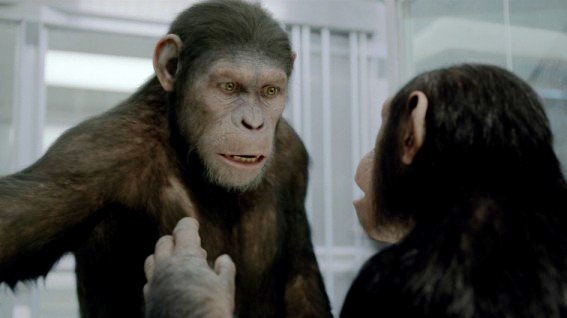 'Rise of the Planet of the Apes' Sequel Possibly Features Speaking Apes