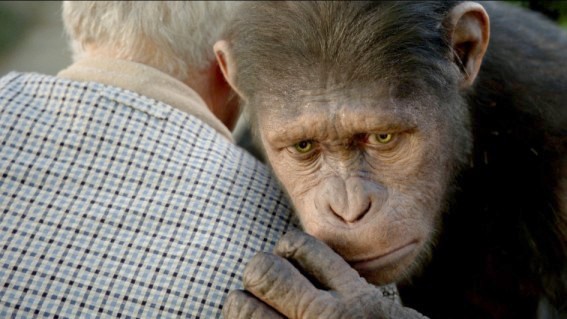 Caesar Attacks Man in 'Rise of the Planet of the Apes' Extended Clip
