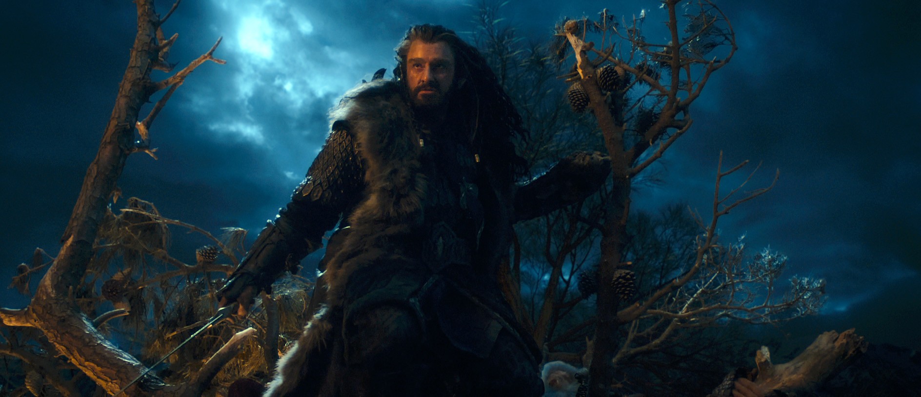 Richard Armitage Dishes on Battle of Five Armies in 'Hobbit: There and Back Again'
