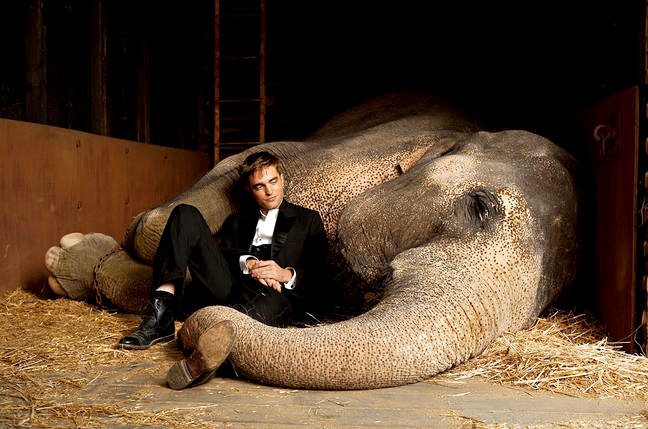'Water for Elephants' Bosses Address Abuse Reports