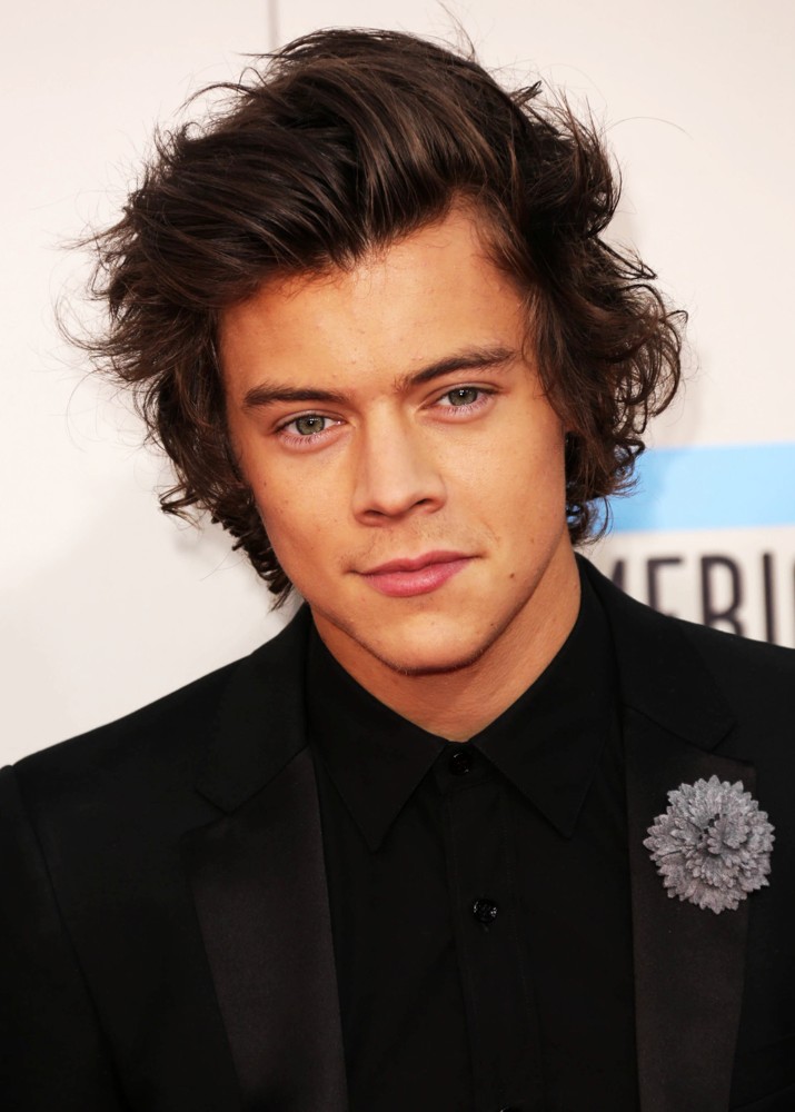 Harry Styles, One Direction