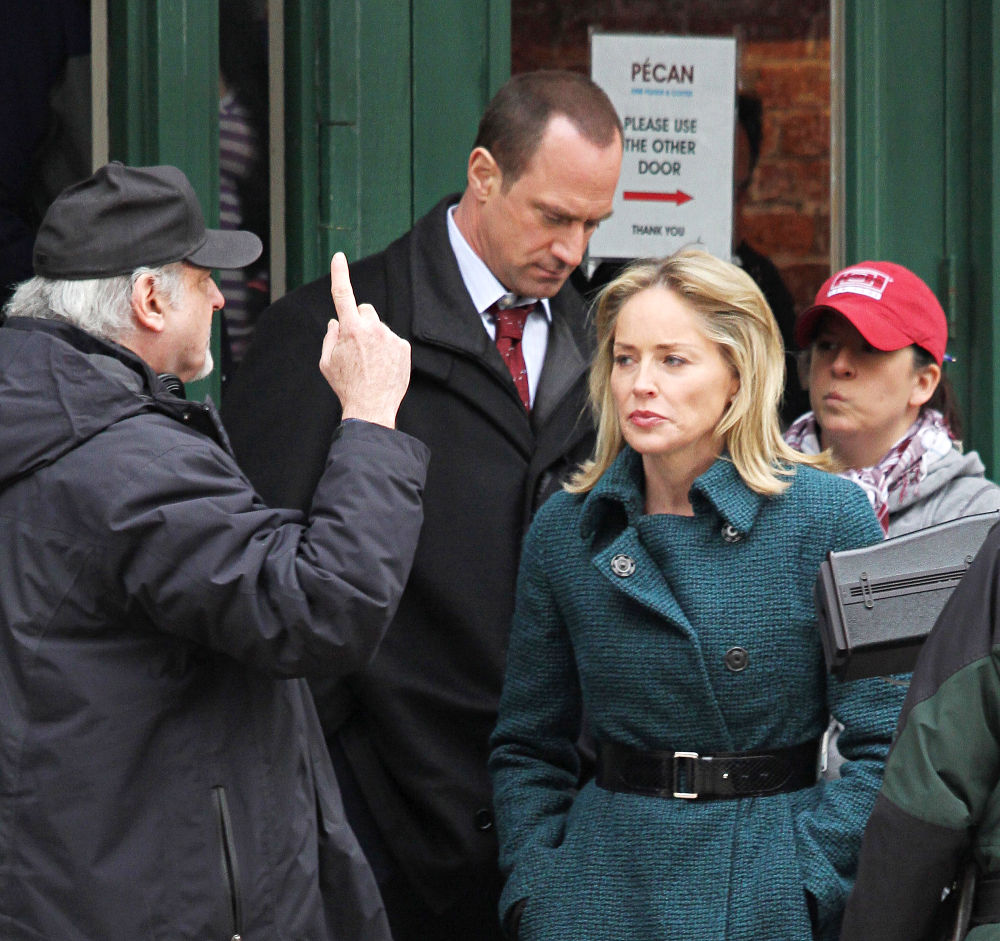 Christopher Meloni, Sharon Stone