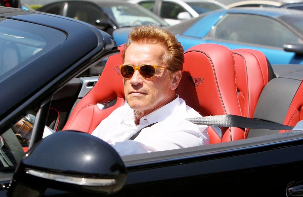 Arnold Schwarzenegger