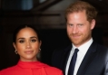 Meghan Markle and Prince Harry Release New Portrait to Humiliate Royal Family 