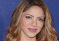 Shakira Spotted Getting Close to 24-Year-Old Surf Instructor Months After Gerard Pique Split