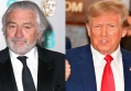 Robert De Niro 'Upset' After Trump's Guilty Verdict: 'This Never Should Have Gotten to This Stage'
