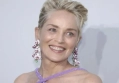 Sharon Stone Snarks About Being Cut From Blake Lively's 'Another Simple Favor'