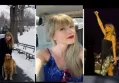 Taylor Swift’s Lavish Wedding Sparks Celebration and Mixed Reactions from Fans