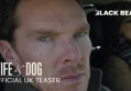 New Wife and Dog Teaser Trailer Unveils Intense Drama Starring Cumberbatch and Pike
