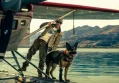 Heart of the Beast Wins Prestigious Award Amidst Critical Acclaim and Audience Praise