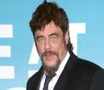 Benicio Del Toro to Lend Voice to Thieving Fox in 'Dora the Explorer'