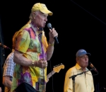 The Beach Boys to Celebrate 60th Anniversary With 2022 Cruise Ship Festival