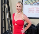 Britney Spears' Lawyer to Help Free Peter Max From Guardianship