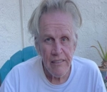 Gary Busey May Need to Retake Driving Test Following Alleged Hit-and-Run