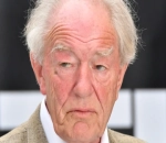 Michael Gambon Hands Huge Amount of Fortune to Wife, Leaves Nothing to Mistress After He Died