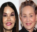 Janice Dickinson Defends Sharon Stone After Billy Baldwin Threatens to Spill Her 'Dirt'
