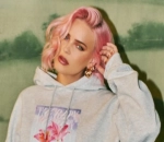 Anne-Marie Secretly Gives Birth to Her First Child