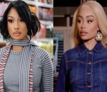 Megan Thee Stallion Leaves Confusing Comment on Trafficking Allegations Against Blac Chyna