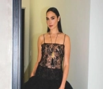 Gal Gadot's Hollywood Walk of Fame Ceremony Overshadowed by Protests, Cops Called