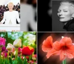 Tilda Swinton Warns Cinema Must Avoid Formulaic AI Traps