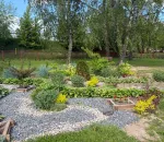 Garden Landscaping on a Budget: 5 Ideas That Actually Work