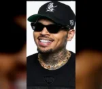 Chris Brown Ordered to Pay $13M Over Dog Attack at His California Home