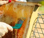 How to Make Beeswax Food Wraps That Actually Work