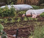 Build a Raised Garden Bed with Wood (No Experience Needed)