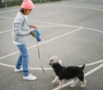 Walk Without the Tug: Loose Leash Training That Works
