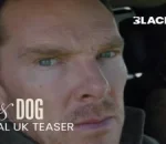 New Wife and Dog Teaser Trailer Unveils Intense Drama Starring Cumberbatch and Pike
