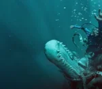 Whalefall Sparks Buzz with Its Unusual Whale Survival Thriller Concept