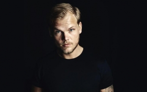 Family Announces Avicii's Funeral to Be Private