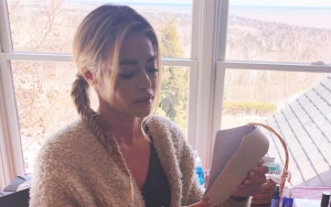 Denise Richards Is Sued Over Unpaid Stable Bill, Could Lose Her Horses 
