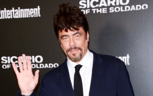 Benicio Del Toro Wants Better Representation for Puerto Ricans in U.S. Government