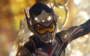 Evangeline Lilly Ditched MMA Training to Appear Feminine During 'Ant-Man and the Wasp' Fight Scenes