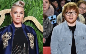 Pink and Ed Sheeran Join Forces to Help British DJ Propose