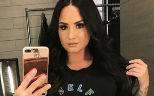 Report: Burglars Attempt to Break Into Demi Lovato's House While She Is in Rehab