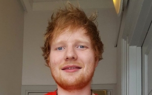 Ed Sheeran Planning a Year Hiatus to Make Babies After Tour