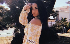 Demi Lovato Ease Into Normal Life With Halfway House Stay