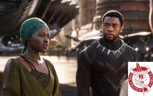 'Black Panther' Dominates 2018 Black Film Critics Circle