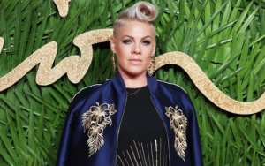 Pink Hits Back at Haters Over 'Polarizing Opinions': You Can Unfollow Me