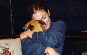 LeAnn Rimes Puts Three Concerts on Hold to Mourn Loss of Her Dog