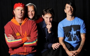 Red Hot Chili Peppers' First Tasmania Concert Tainted by Power Outage 