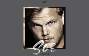 Avicii's First Posthumous Release 'SOS' Features Aloe Blacc - Listen to Emotional Track