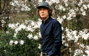 Mick Jagger Enjoys Walk in the Park After Heart Valve Replacement Surgery